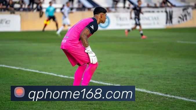 168棋牌官网平台生态图